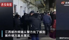 安义欺凌学生爆料视频播放,视频曝光揭示校园暴力真相